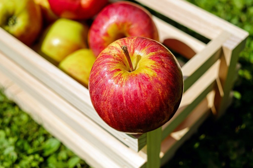 أهم 20 فائدة للتفاح المتناول على الريق